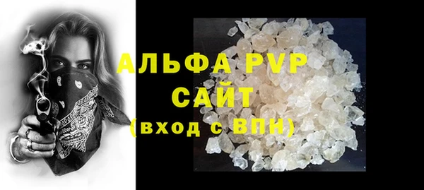крисы Алексин