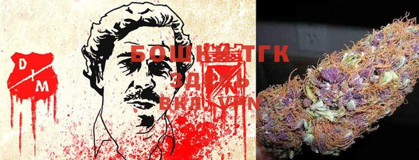 крисы Алексин