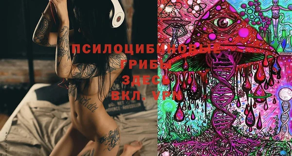 мдпв Алзамай