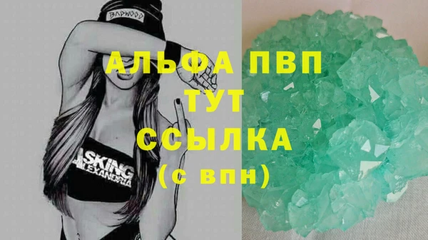 крисы Алексин