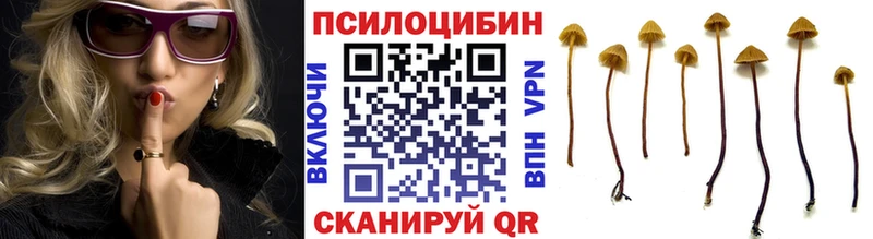 Псилоцибиновые грибы ЛСД  где купить наркоту  Нягань 