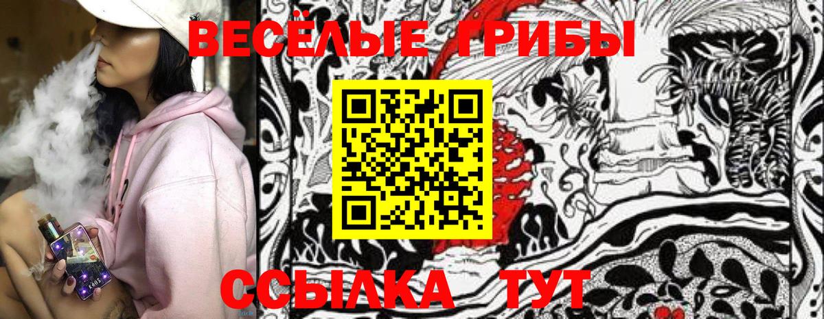 наркотики  Вход с VPN  Нягань  Псилоцибиновые грибы Psilocybe 